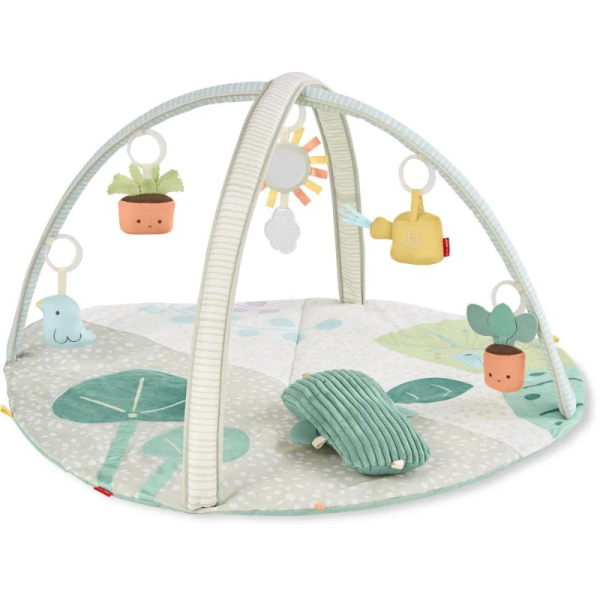 Baby Gym