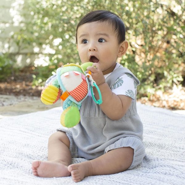 316003 Turtle Toy