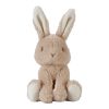 LITTLE DUTCH. Cuddle Baby Bunny 15cm GRS