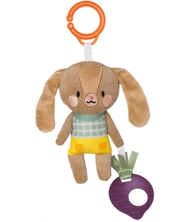 Jenny the Bunny