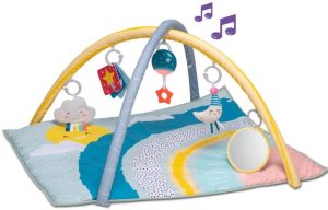 Magical Mini Moon Gym