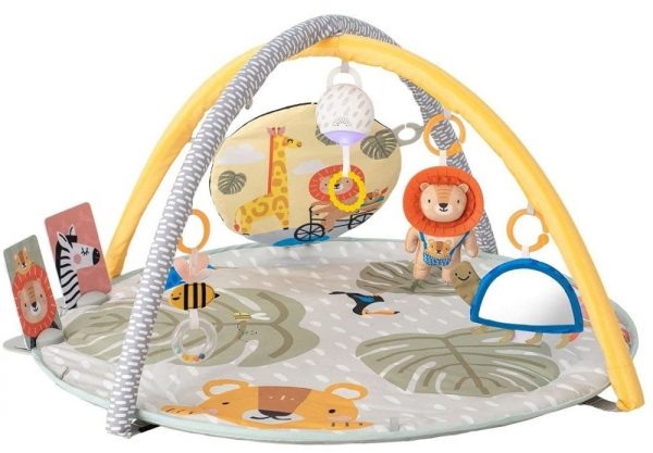 Savannah 360 activity gym