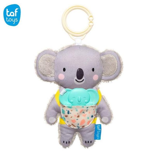 Kimmy the koala